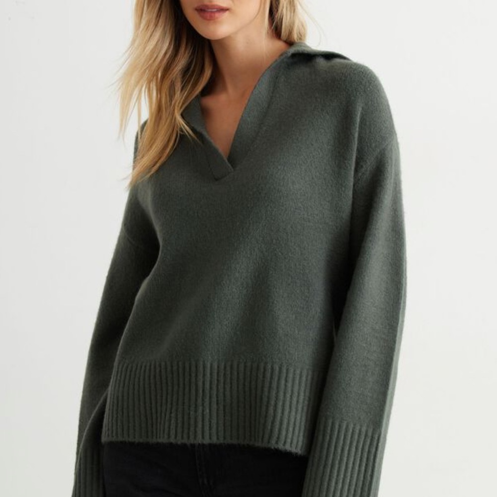 Dynamite V- Neck Polo Sweater